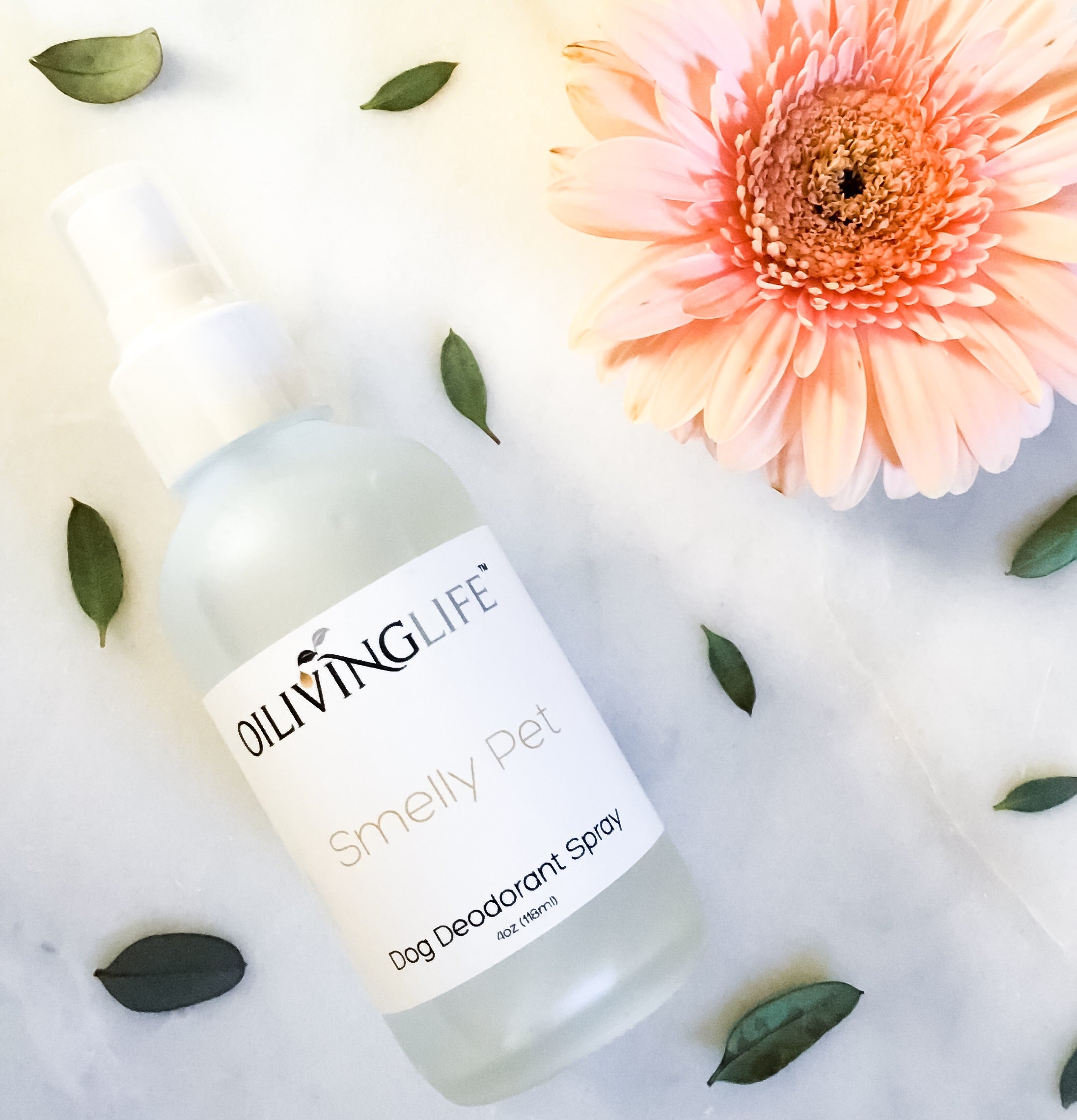 Smelly Pet Dog Deodorant Spray - OilivingLife