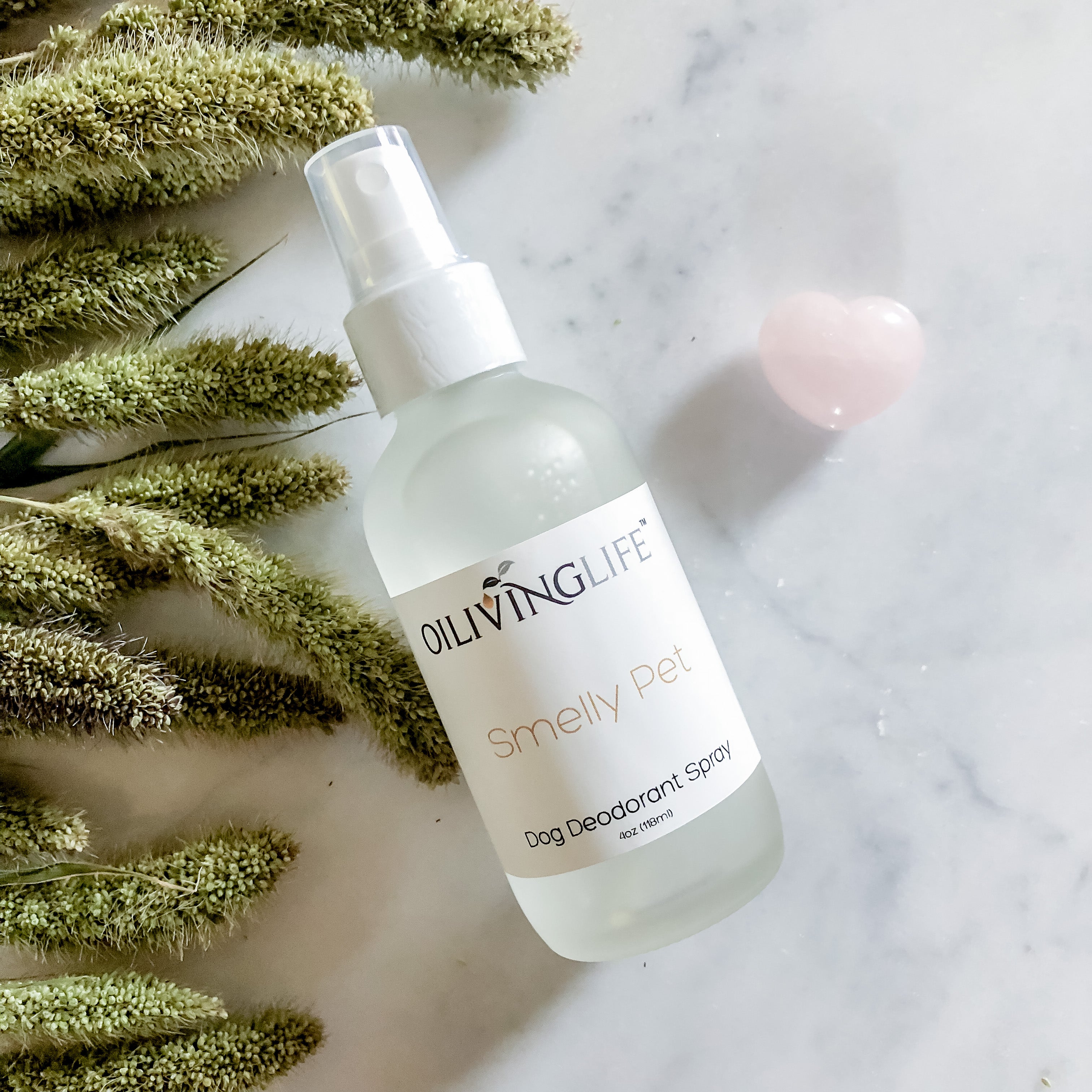 Smelly Pet Dog Deodorant Spray - OilivingLife